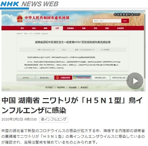 2020年2月2日 NHK NEWS WEBへのリンク画像です。