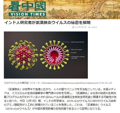 2020年2月1日 看中國 VISOIN TIMESへのリンク画像です。
