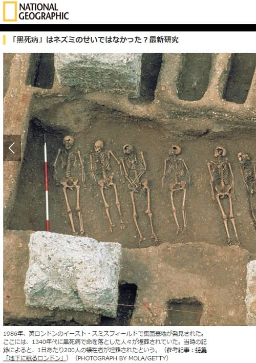 2018年1月18日 ナショナルジオグラフィックへのリンク画像です。