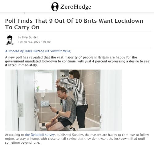 2020年5月12日 Zero Hedgeへのリンク画像です。