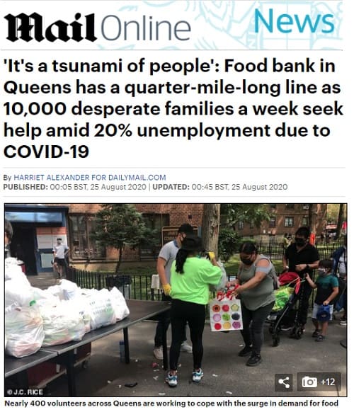 2020年8月25日 Daily Mail Onlineのリンク画像です。