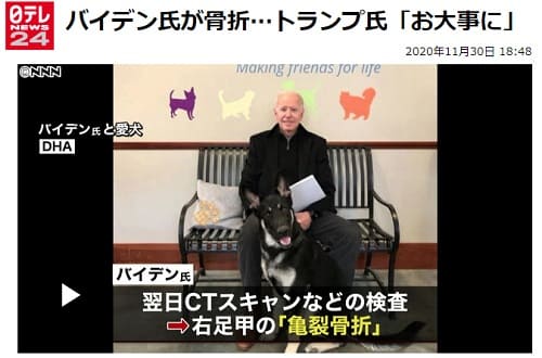 2020年11月30日 日テレNEWS24のリンク画像です。