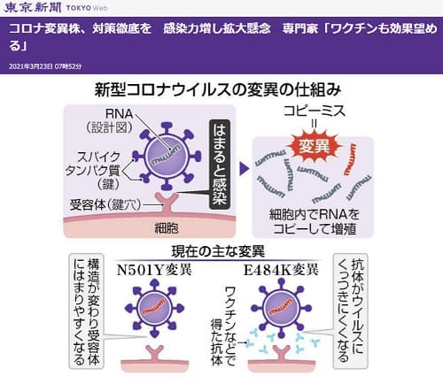 2021年3月23日 東京新聞へのリンク画像です。