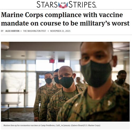 2021年11月21日 STARS AND STRIPESへのリンク画像です。