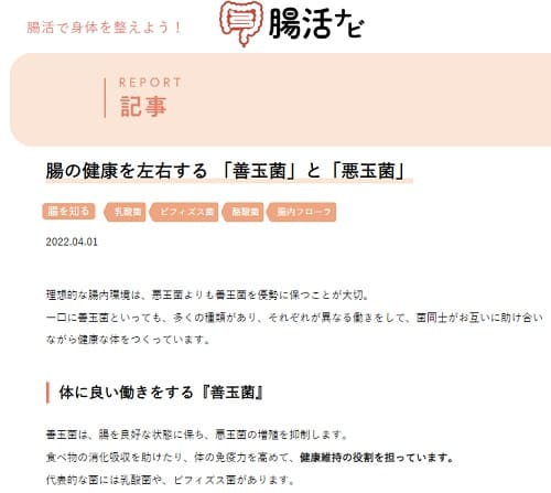 2022年4月1日 腸活ナビ by ビオフェルミン製薬株式会社へのリンク画像です。