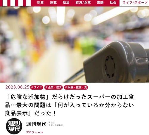 2023年6月25日 現代ビジネスへのリンク画像です。