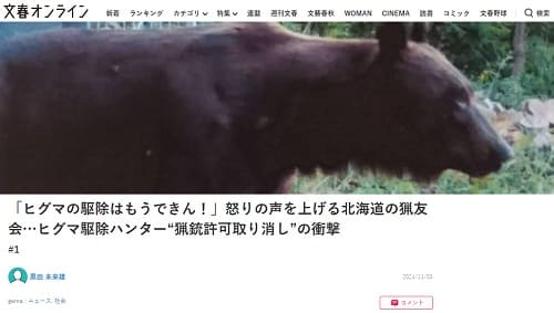 2024年11月3日 文春オンラインへのリンク画像です。