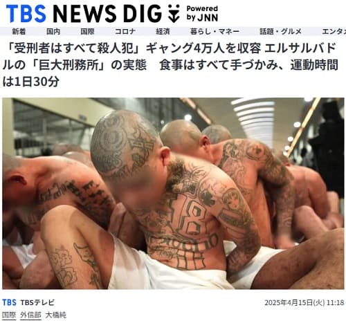 2025年4月15日 TBS NEWS DIGへのリンク画像です。