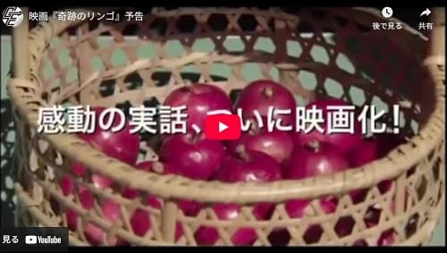 2017年9月15日 Youtube@GAL MOVIE TRAILERへのリンク画像です。