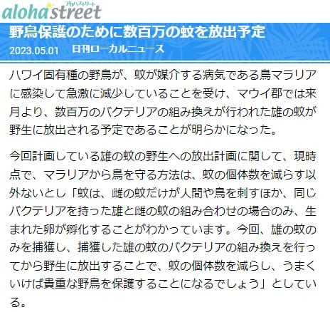 2023年5月1日 aroha streetへのリンク画像です。