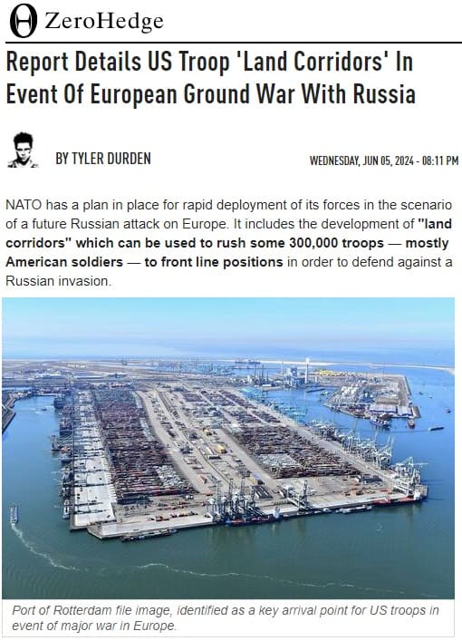 2024年6月5日 Zero Hedgeへのリンク画像です。