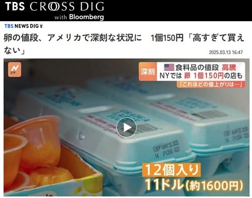 2025年3月13日 TBS CROSS DIGへのリンク画像です。